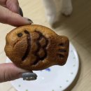 댕수성찬 이미지