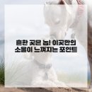 대윤한의원 이미지