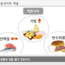 뇌전증에 좋은 음식 대마종자유 효능 CBD오일과 구분하기 이미지