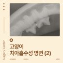 녹번동물병원