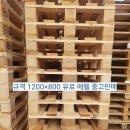 판매]중고파레트 에펠 유로 1200×800 정기적으로 납품 이미지