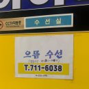 으뜸수선 이미지