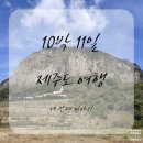 10박 11일 제주도 여행기 [3편]