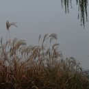 나자바바라 이미지