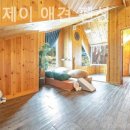 에스엔제이 | 경기도 애견펜션 후기, 에스엔제이 애견 펜션 맘편하게 쉬다왔어요