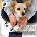 너와함개 이미지