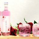 제주본초협동조합 이미지