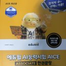 에듀윌 | AICE Associate 독학 후기｜에듀윌 수험서로 AI 자격증 재도전