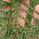 양은리어린이공원 이미지