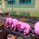 동양어린이집 이미지