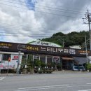 충북 제천 청풍호맛집 느티나무횟집 후기