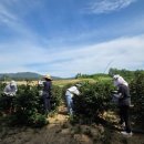 옥천읍행정복지센터 이미지