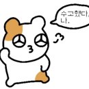 플레이테니스아카데미 동탄호수공원점