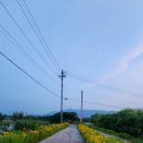 전주용와초등학교 이미지