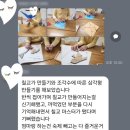 창의수학지도사 | 엄마표 놀이수학 사고력 창의수학 창의수학지도사 감동후기