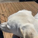 조아노래연습장 | 제주로 도피 여행 - day 2, 3