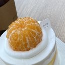 피니프 이미지
