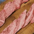 소나무언덕 이미지