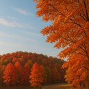 🍂 25년 10월 카톡·문자 인사말 모음 이미지