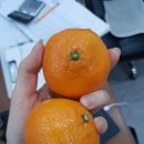 주남산단로 이미지