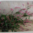 백마공원 이미지