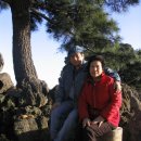 오렌지별장 이미지