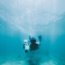 봉두농장 이미지