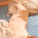 미랑미랑 이미지