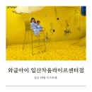 와글아이 일산차움라이프센터점 : 노란 볼풀장이 예쁜 일산 대형 키즈카페