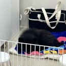 파리클라라 - 영등포구 | 강남 네일아트 전문가의 손길❛파리클라라 2호점❜찐추천 후기