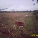 태일농장 이미지