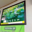 부길식당 - 안양시 만안구 | 민둥산에서 내려와 먹은 부길한식당 곤드레비빔밥 / 찐~! 현지인 밥집