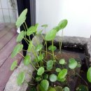 월영동201 이미지