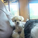 대관령안골황토펜션 이미지