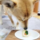 쏭스토랑 이미지