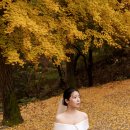 스튜디오담다(주)