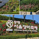면목동-137 | 서울 중랑천 장미축제 행복했던 5월 꽃구경 서울 산책