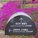 2024년 화순 버스킹 이미지