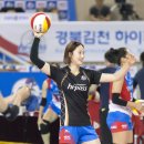 김천실내체육관 이미지