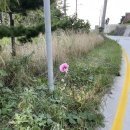 내수전 몽돌해변 이미지