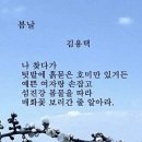 봄날 Daum카페