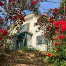 수남초교 이미지