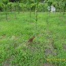 매곡농장 이미지