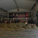 호텔아이스크림 이미지