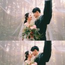 코in제주 이미지