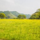 창신공원 이미지