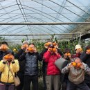 이천시정신건강복지센터 이미지