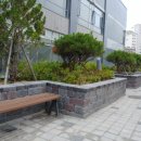 춘천 L-타워 이미지