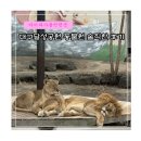 달성토성 | 아이와 가볼만한 대구 달성공원 동물원 주차 솔직한 후기