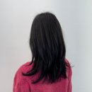 대덕대로233번길 | [둔산동] 친초샵 __ 대전 염색 맛집 헤어샵에서 오랜만에 흑발! 톤다운 염색 후기 (안마의자는 덤)